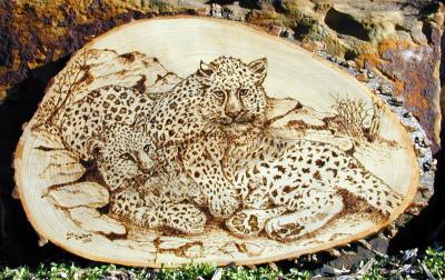 1-Leopard.jpg