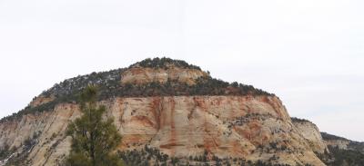 2867-8.jpg