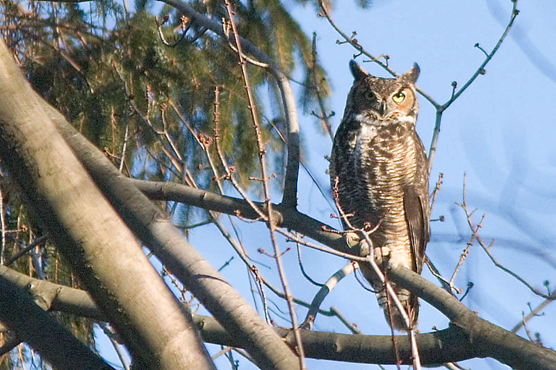CRW_8542.jpg