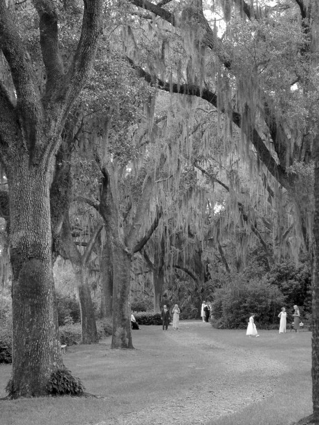 Wedding - Bok Tower Gardens