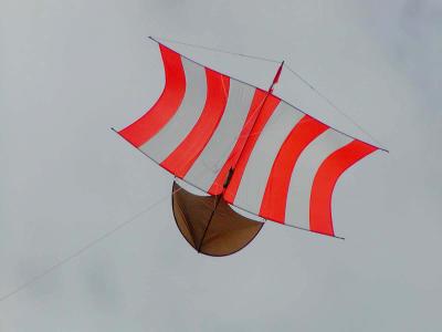 NZ National Kite Festival, Wellington, Feb 2004