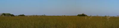 sawgrass prairie. panorama