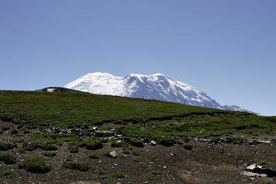GA7W5367.jpg