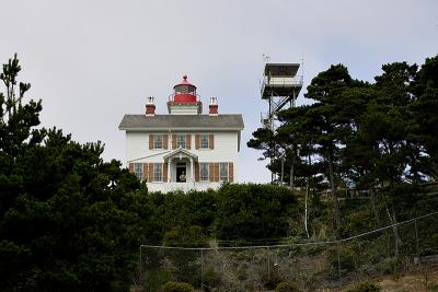 GA7W6081.jpg