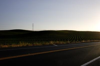 calfornia