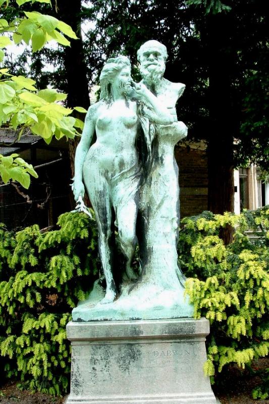 Darwin & nature