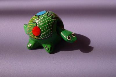Miniturtle
