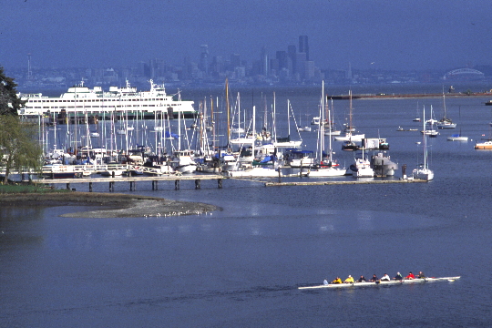 EAGLE HARBOR ROWING