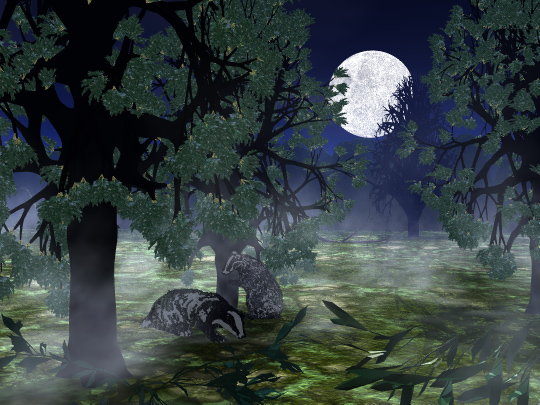 Moonlit badgers