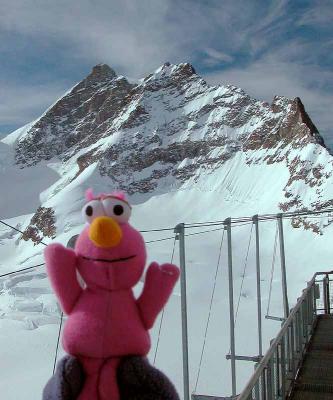 Telly-at-the-Jungfrau