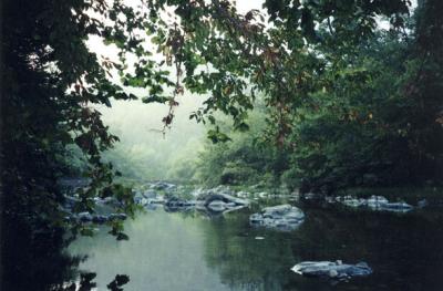 Eagle Rock Loop' Trail - Ouachita National Forest, Arkansas 2001