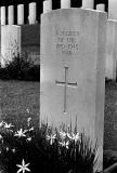 War Grave I
