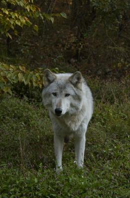 DSC_2722.jpg