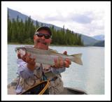 rainbow trout