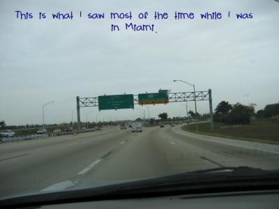 Miami Traffic 001.jpg