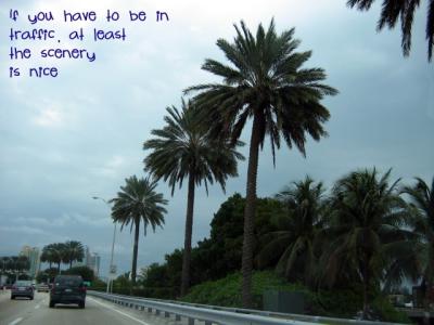 Miami Traffic 012.jpg