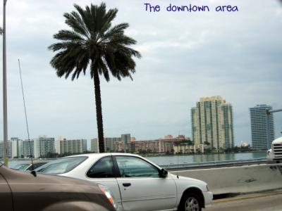 Miami Traffic 013.jpg