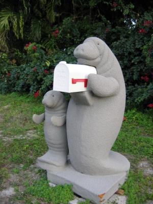 Mother and baby manatee mailbox/newspaper holder