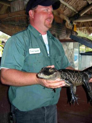 Our tour guide and a big bigger alligator