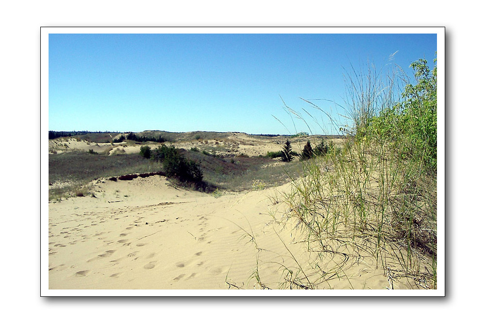 Canadian Desert