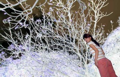 u40/knightong/medium/39318192.Kellynartistictouchup_resize1.jpg