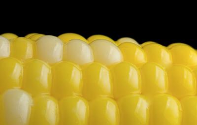 Corn by Francesco Tonelli