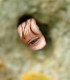 The Eye of the Beholder by Kate Westrop