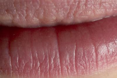 CRW_2728.jpg