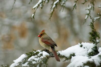 CRW_2924.jpg