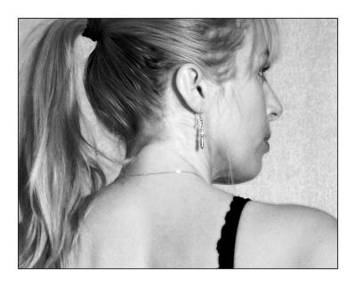 ponytail