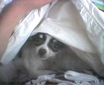 Peek a Boo Coty!