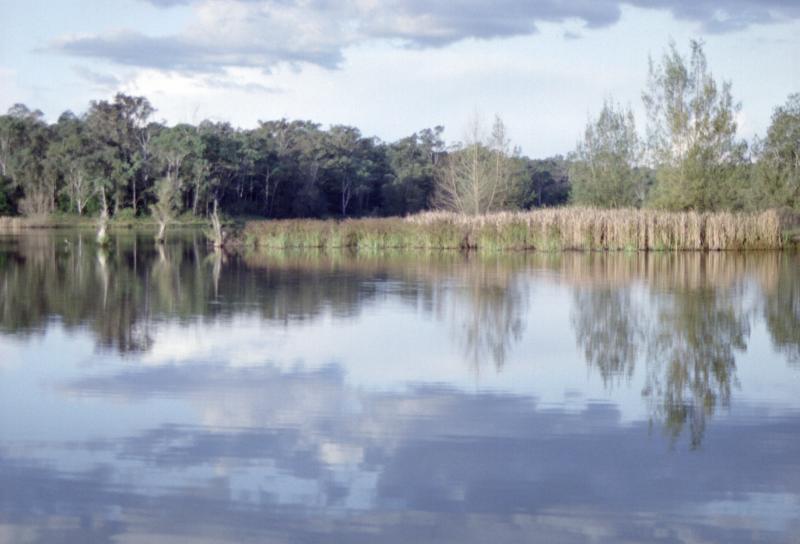 Longneck Lagoon from the road