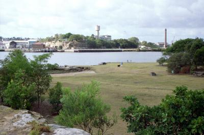 Cockatoo Island from Morts Reserve