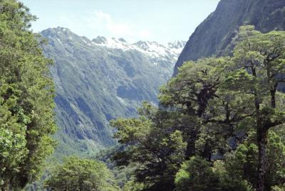 From a lookout on the Milford Sound Road