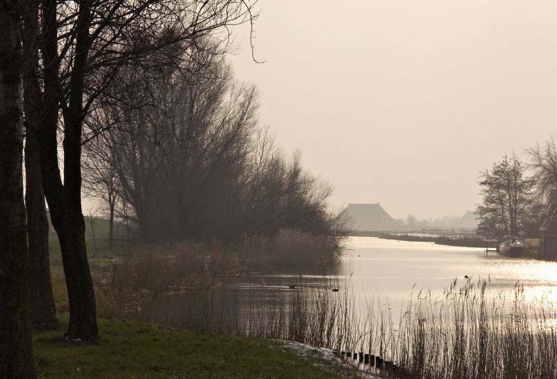 Landscape in Winter Sunlight
