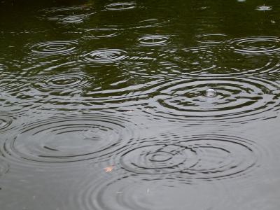 Rain in pond