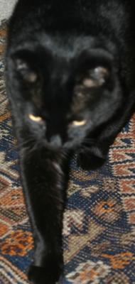 Happy Friday 13th.jpg