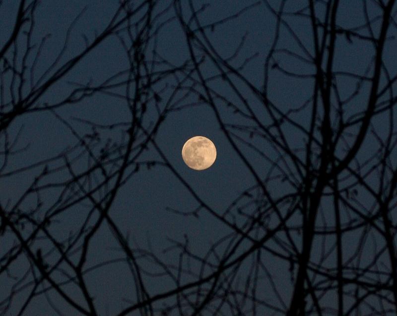 Moon Shot Reprise<br>Feb 24
