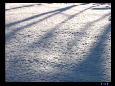 u40/lbonja/medium/40167437.snow1.jpg