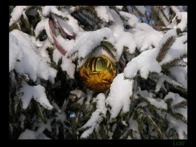 u40/lbonja/medium/40167464.snow6.jpg