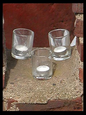 u40/lbonja/medium/40595085.walk1.jpg