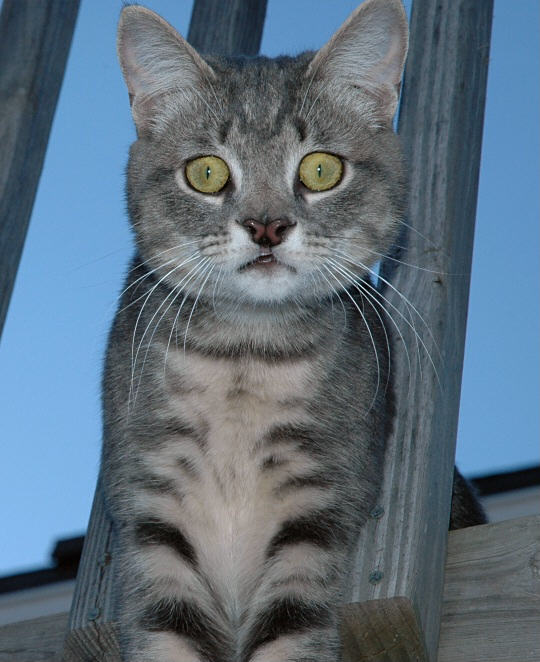 surprise!
