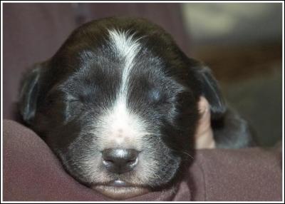 George   - 10 days