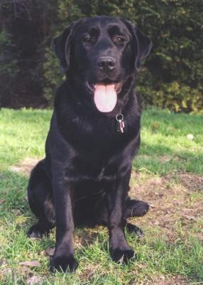 Norton - Proud dad