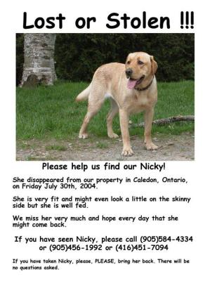 Nicky - Lost poster