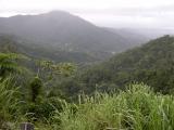 Etapa E: Paisaje de Guavate