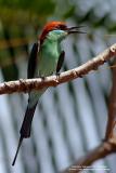 IMG_8309.jpg