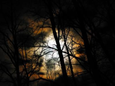 Gothic Glow night shot_5579.jpg