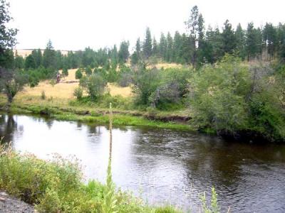 river.jpg