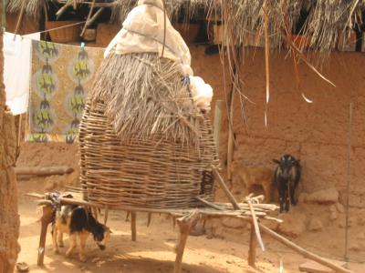 Akosombo Mud Village - chicken coop